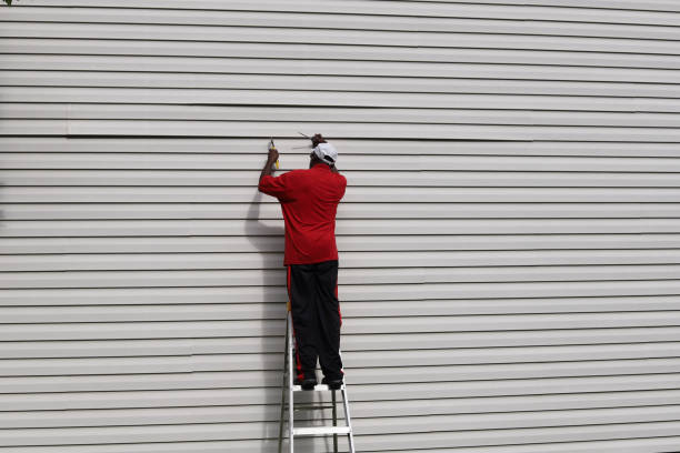 Best Steel Siding Installation  in Hurley, WI