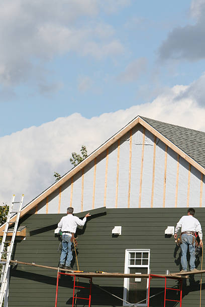Best Custom Siding Design  in Hurley, WI
